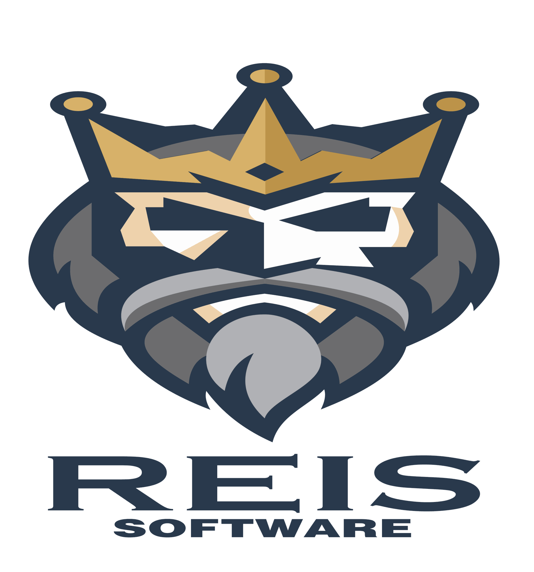 REIS SOFTWARE